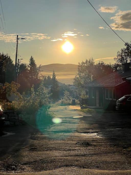 Hybelleilighet I Flott Endegate *
