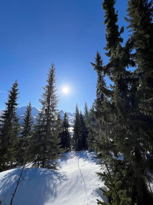 Lejlighed Hybelleilighet I Flott Endegate Tromsø