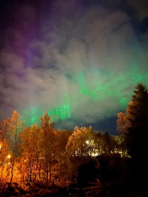 Lejlighed Hybelleilighet I Flott Endegate