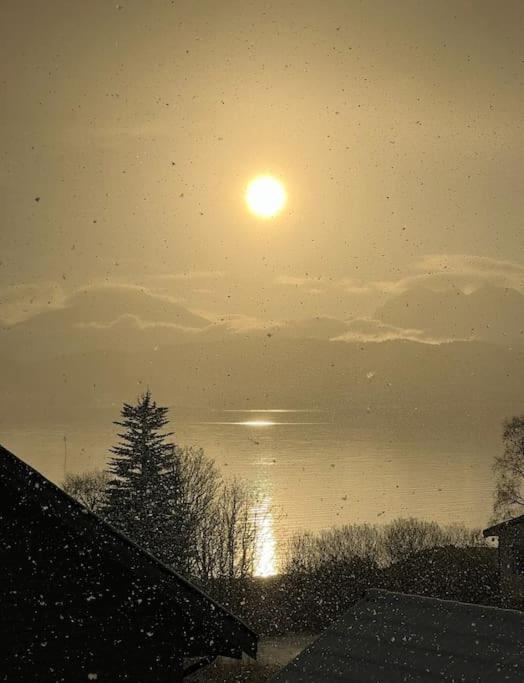 Hybelleilighet I Flott Endegate Lejlighed Tromsø