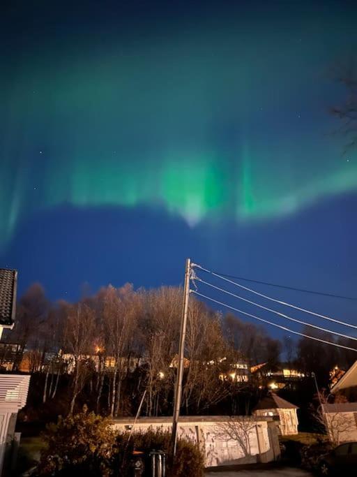 Lejlighed Hybelleilighet I Flott Endegate Tromsø