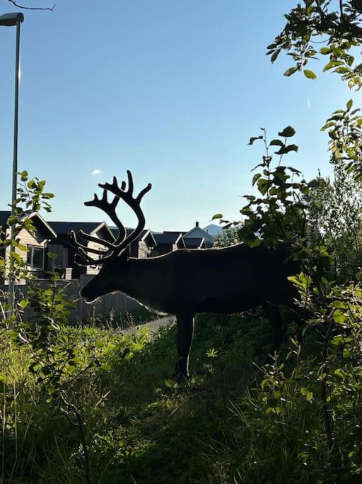 Hybelleilighet I Flott Endegate